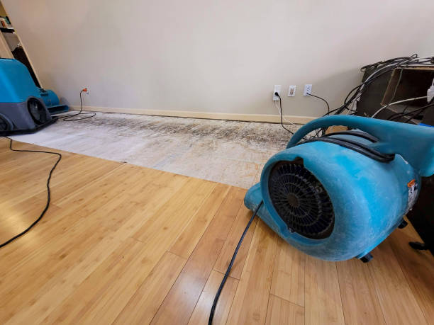 Professional Water Removal technician working in Medway, MA